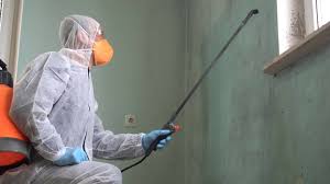 Bullhead City, AZ Mold Remediation Company